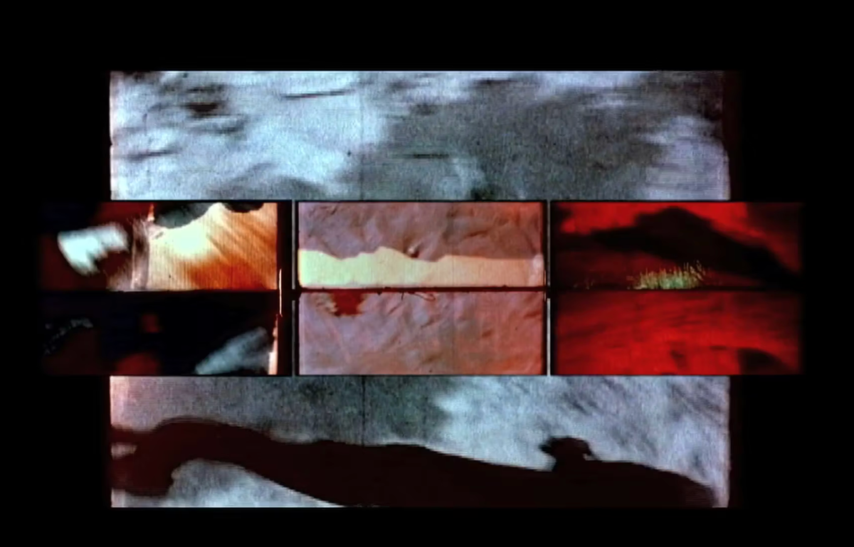 Holly Fisher: Documents of Perception